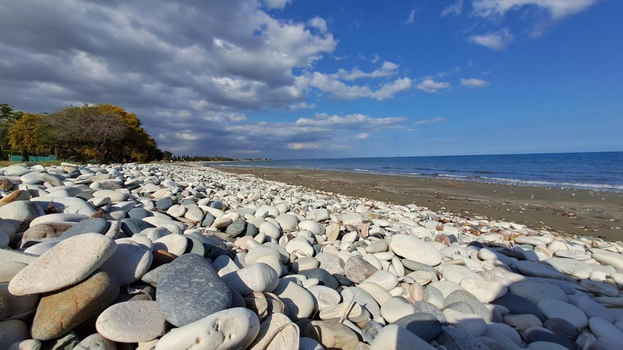 Relaxing Seaside Manors *