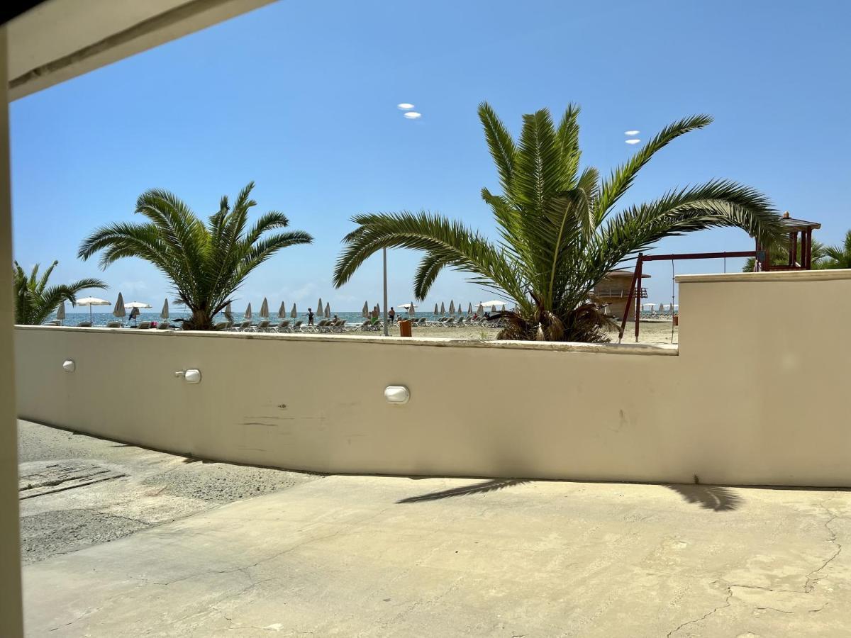 The Dive Studio Larnaca