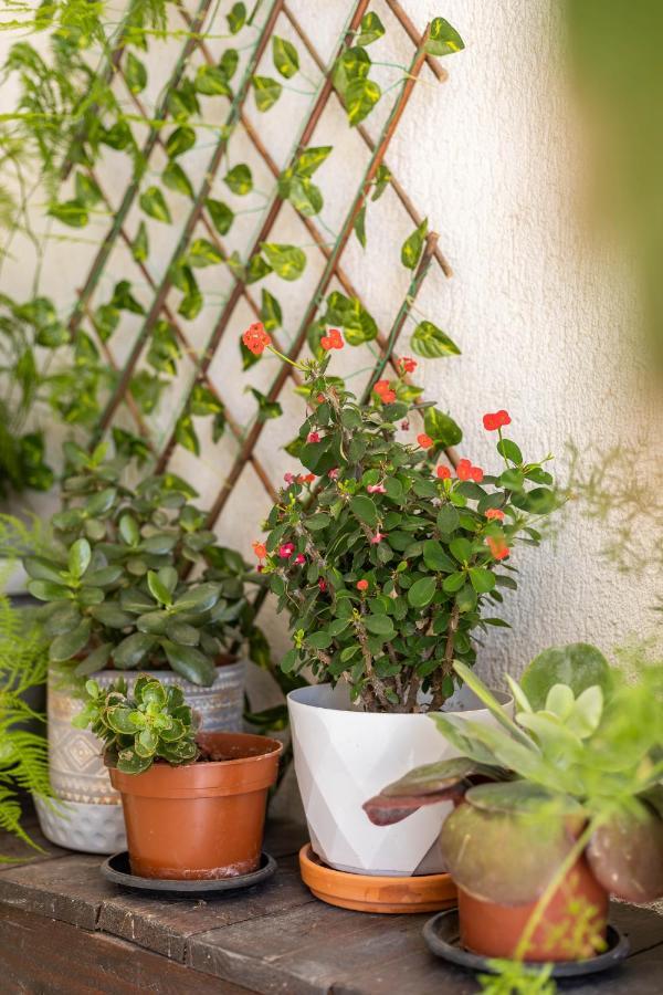 Apartment Seaview Harmony Larnaca
