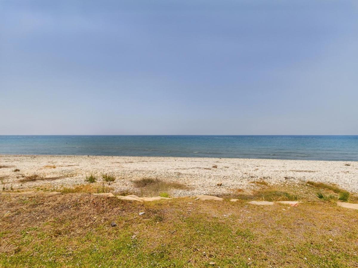 Amazing Frontline Larnaca