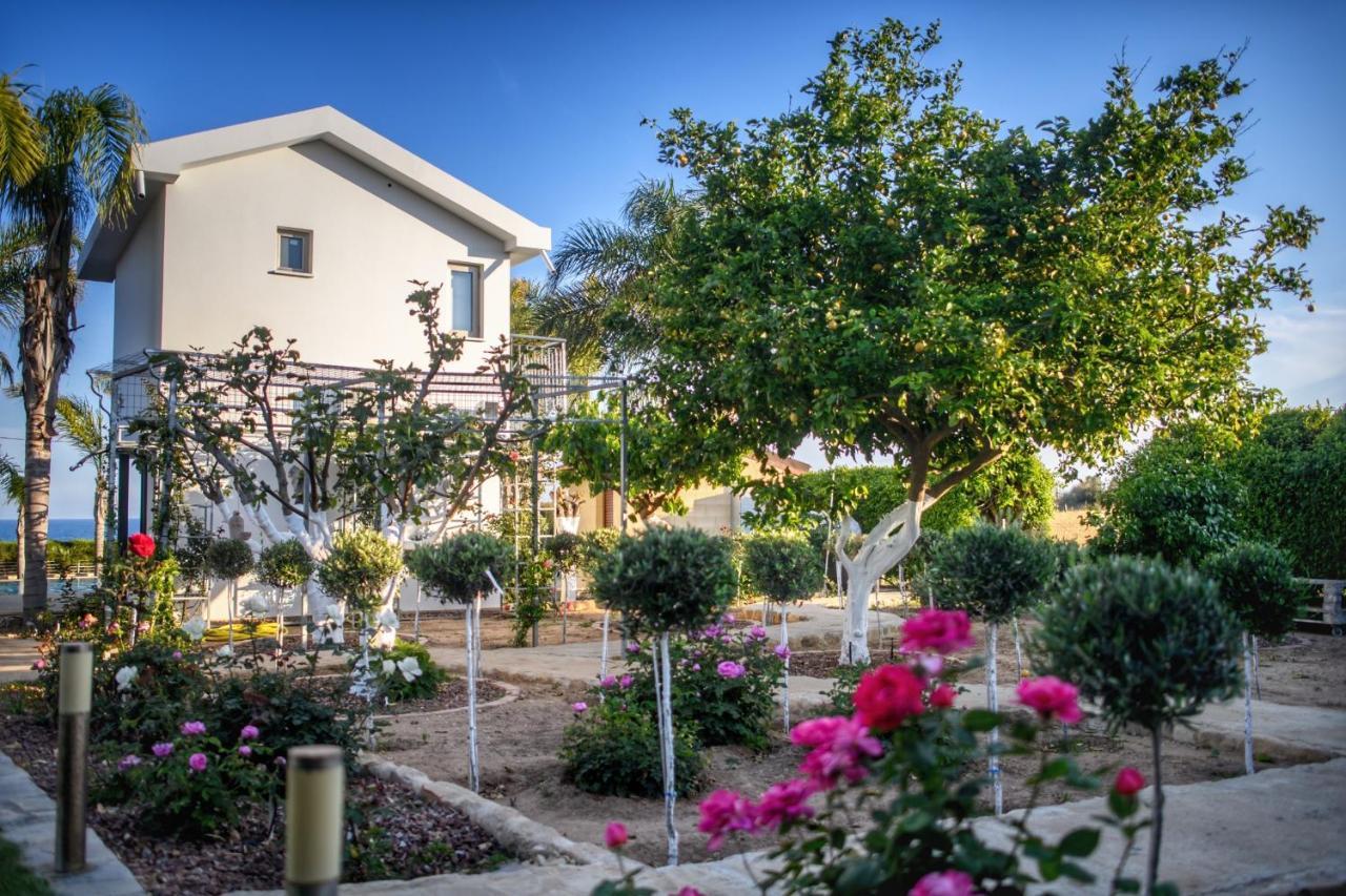Oasis By The Sea - Cyprus *