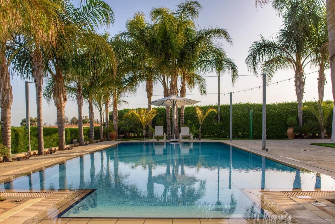 Oasis By The Sea - Cyprus Larnaca
