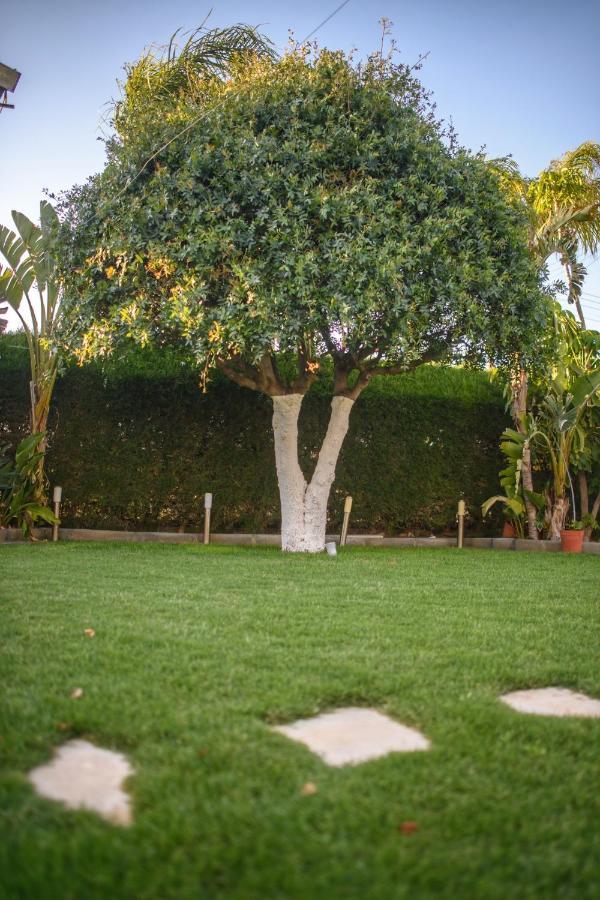 Nhà nghỉ Oasis By The Sea - Cyprus