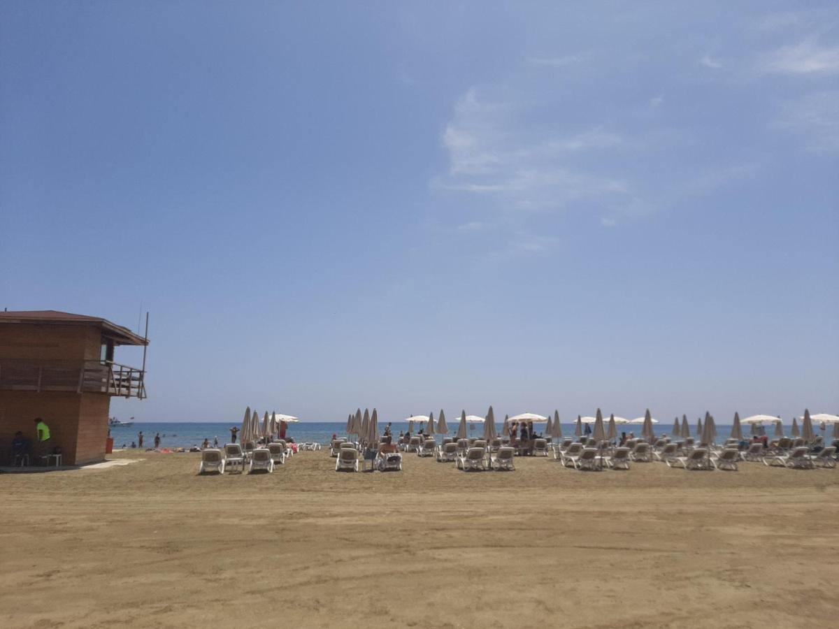 Happy Tucan * Larnaca