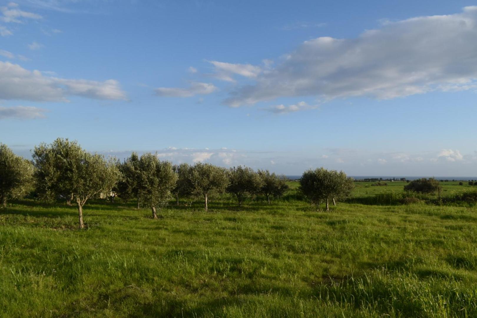Holiday home Mersinera Paradise Garden 2 Larnaca