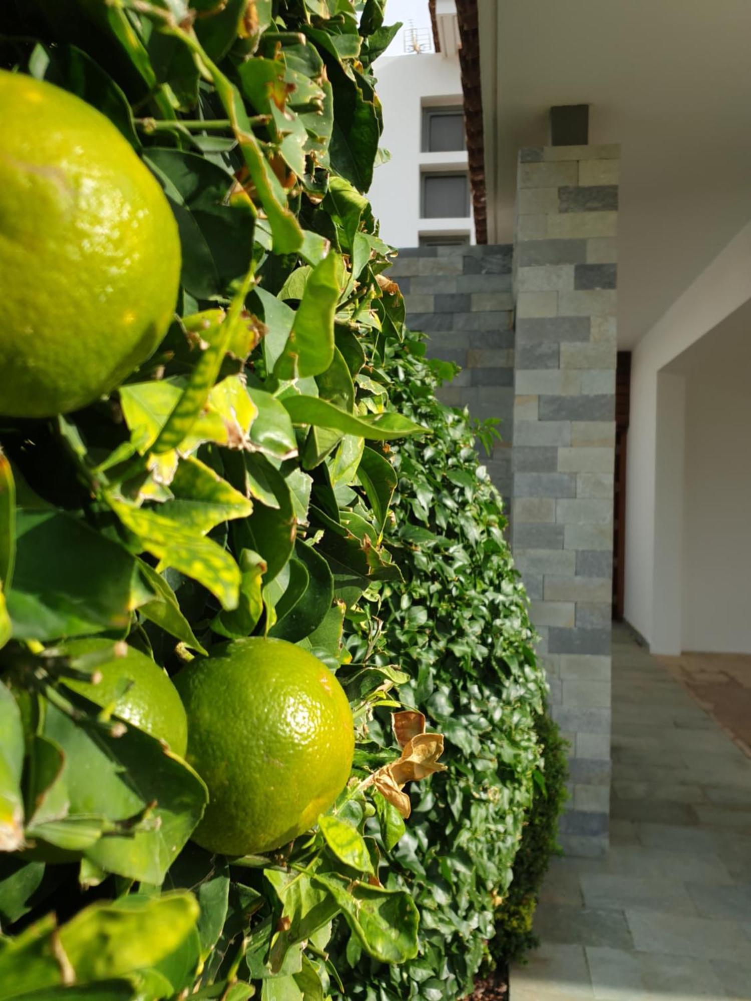 Luxury Beachfront With Private Pool, Yoga & Sea Adventures *