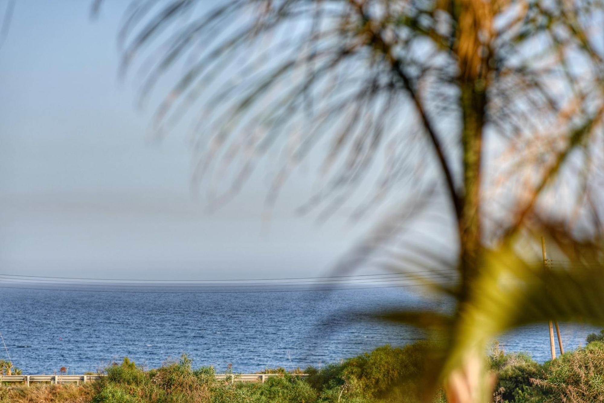 Nhà nghỉ Oasis By The Sea - Cyprus Larnaca