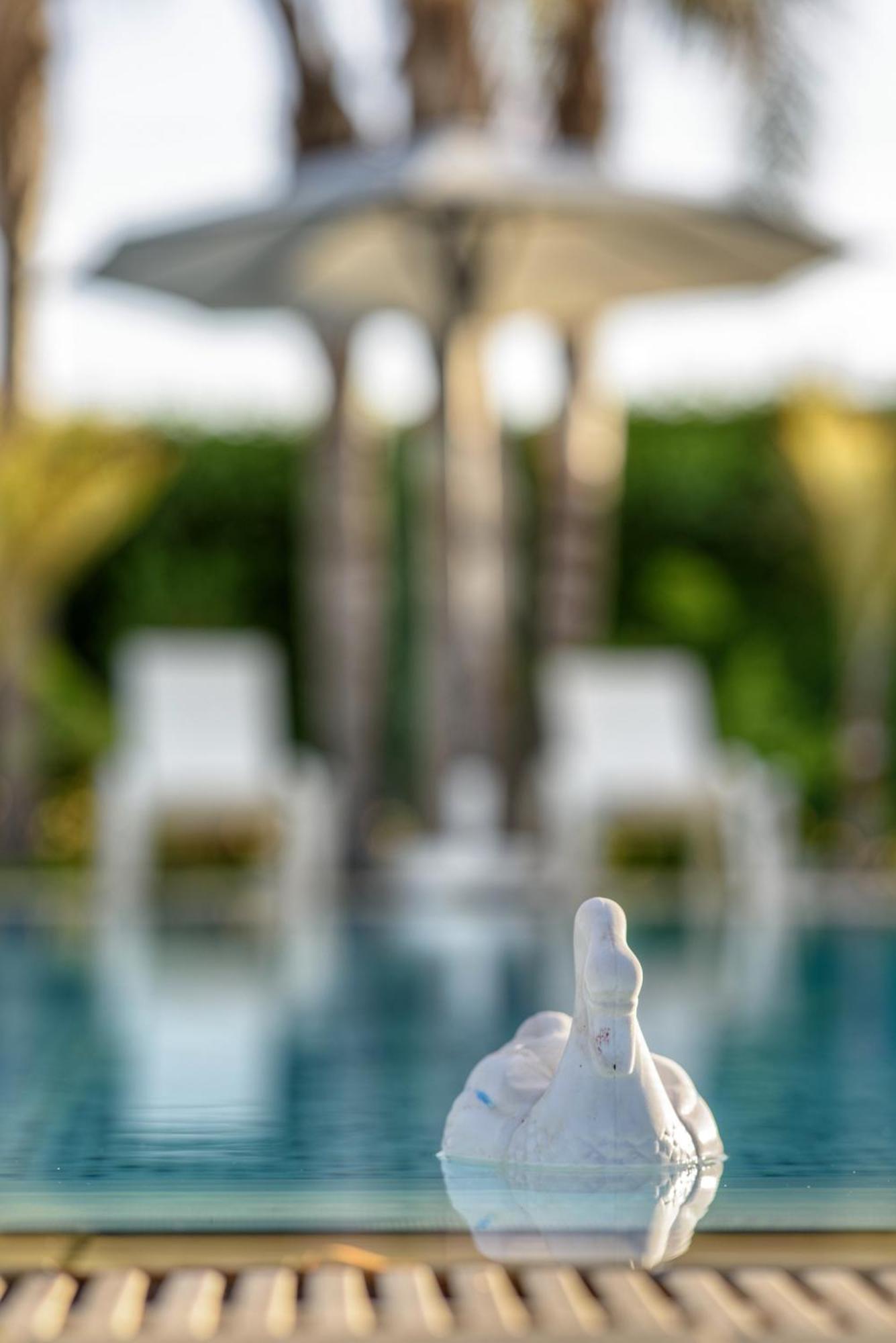 Oasis By The Sea - Cyprus * Larnaca