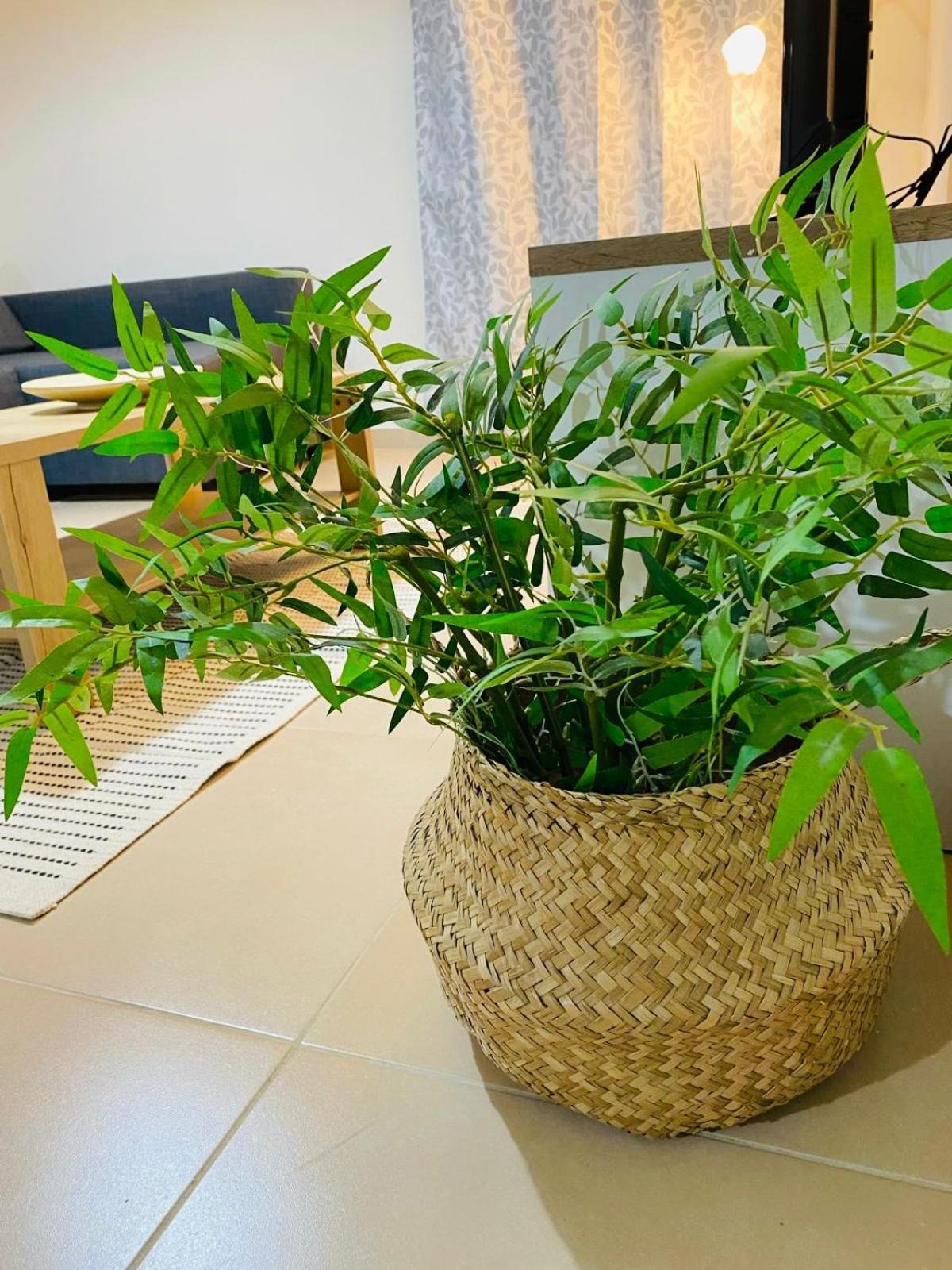 Tersefanou Traditional Village Apartment