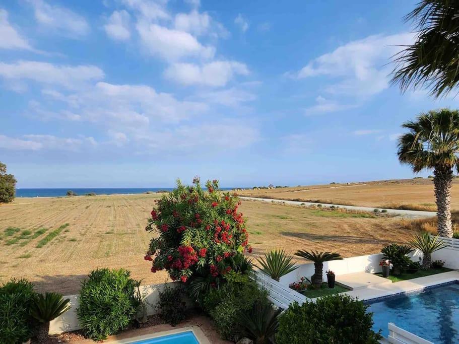 Budget Escape To The Seaside * Larnaka