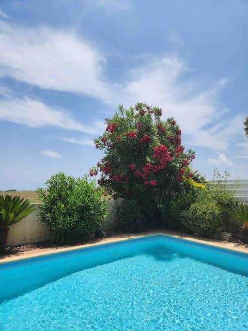 Budget Escape To The Seaside Larnaka