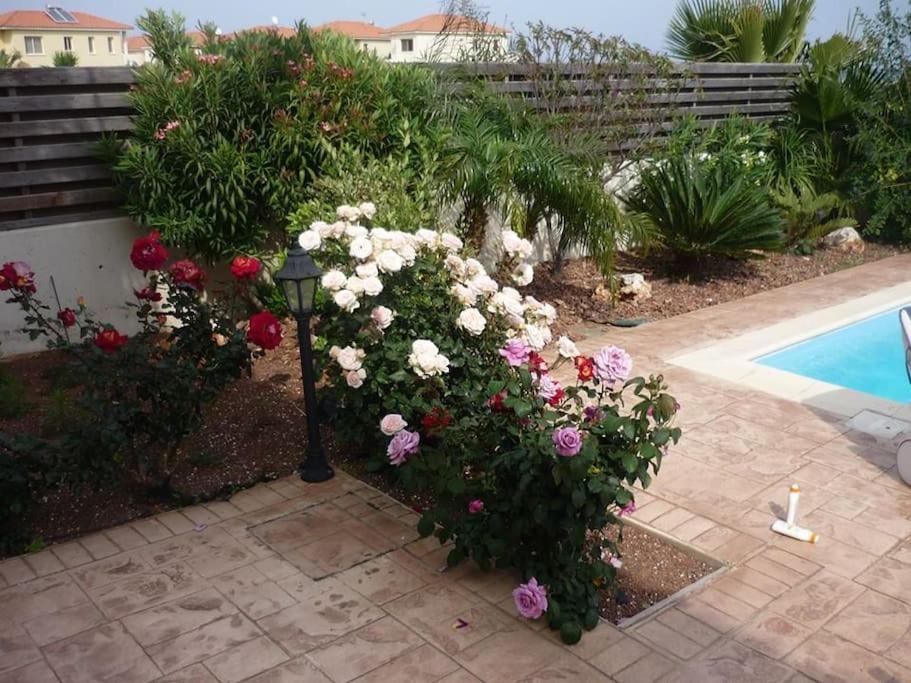 Budget Escape To The Seaside Villa Larnaka