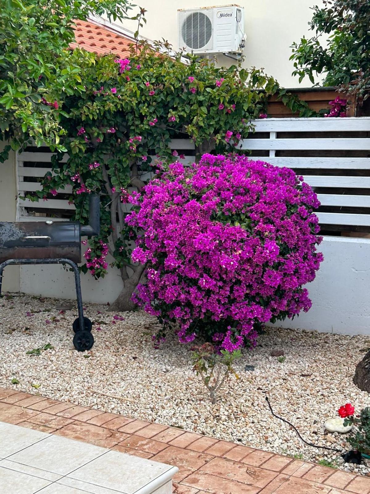 Budget Escape To The Seaside * Larnaka