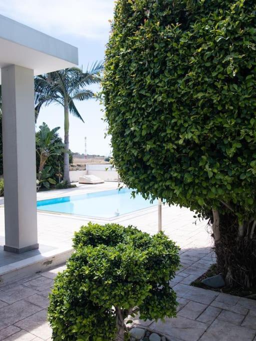 Villa Maestro - Pervolia *