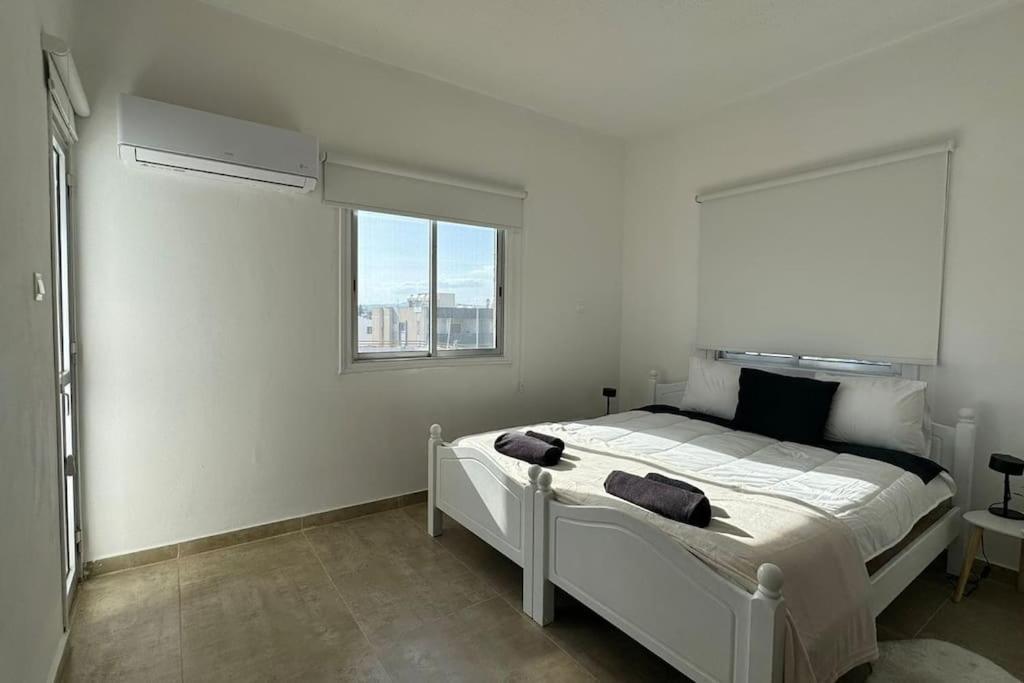Apartment Two Bedroom In Downtown