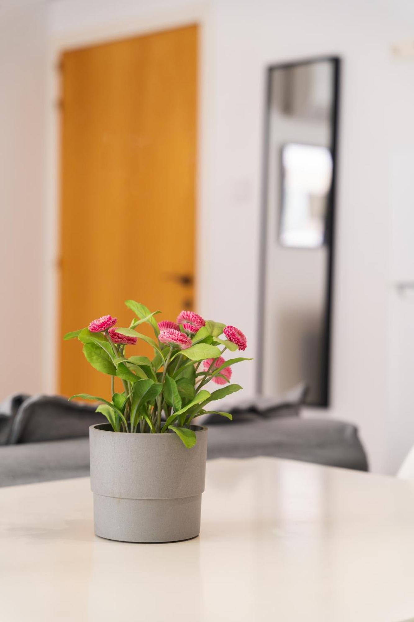 Apartment Kave Blue Mackenzie 1 Bdr Flat With Pool Larnaca