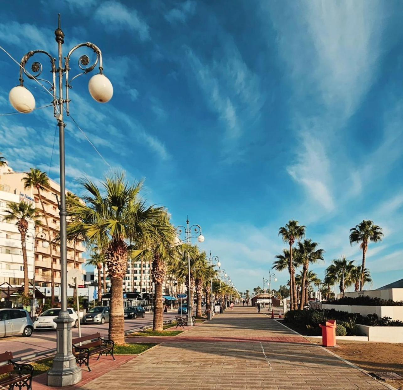 Halcyon * Larnaca