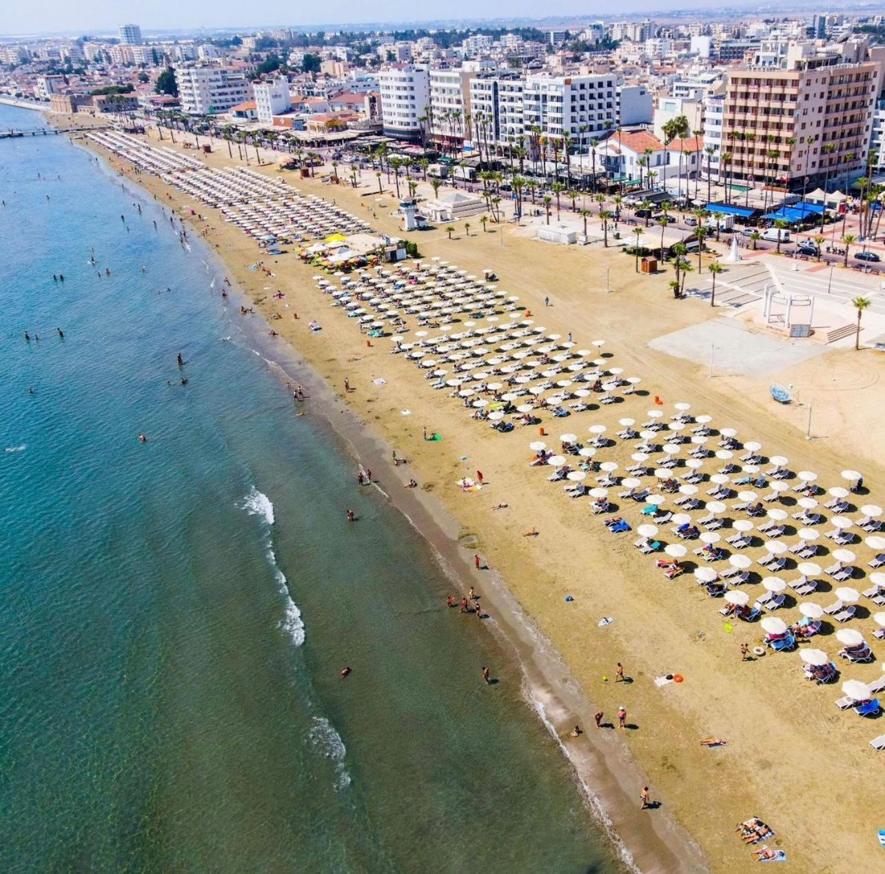 Halcyon * Larnaca