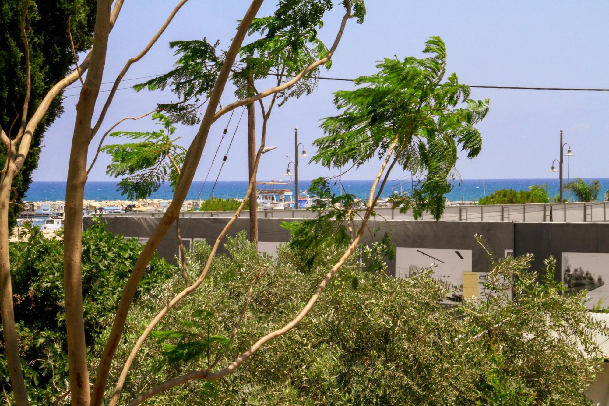 Piale Palms Makenzie Front Apartment,