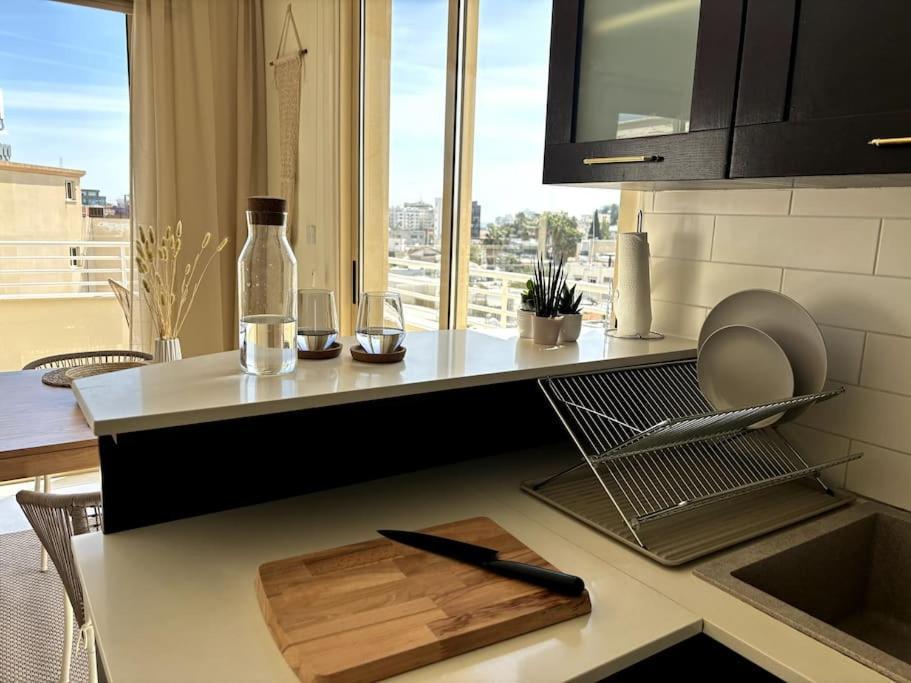 Palm View With Private Rooftop Apartment Larnaca