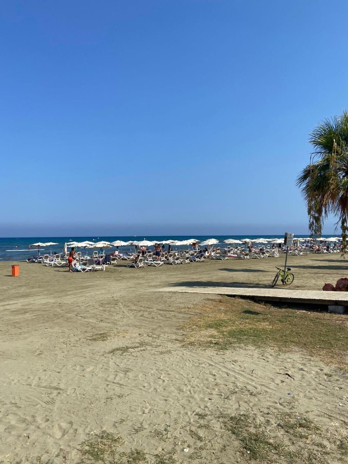 Finikoudes Larnaca