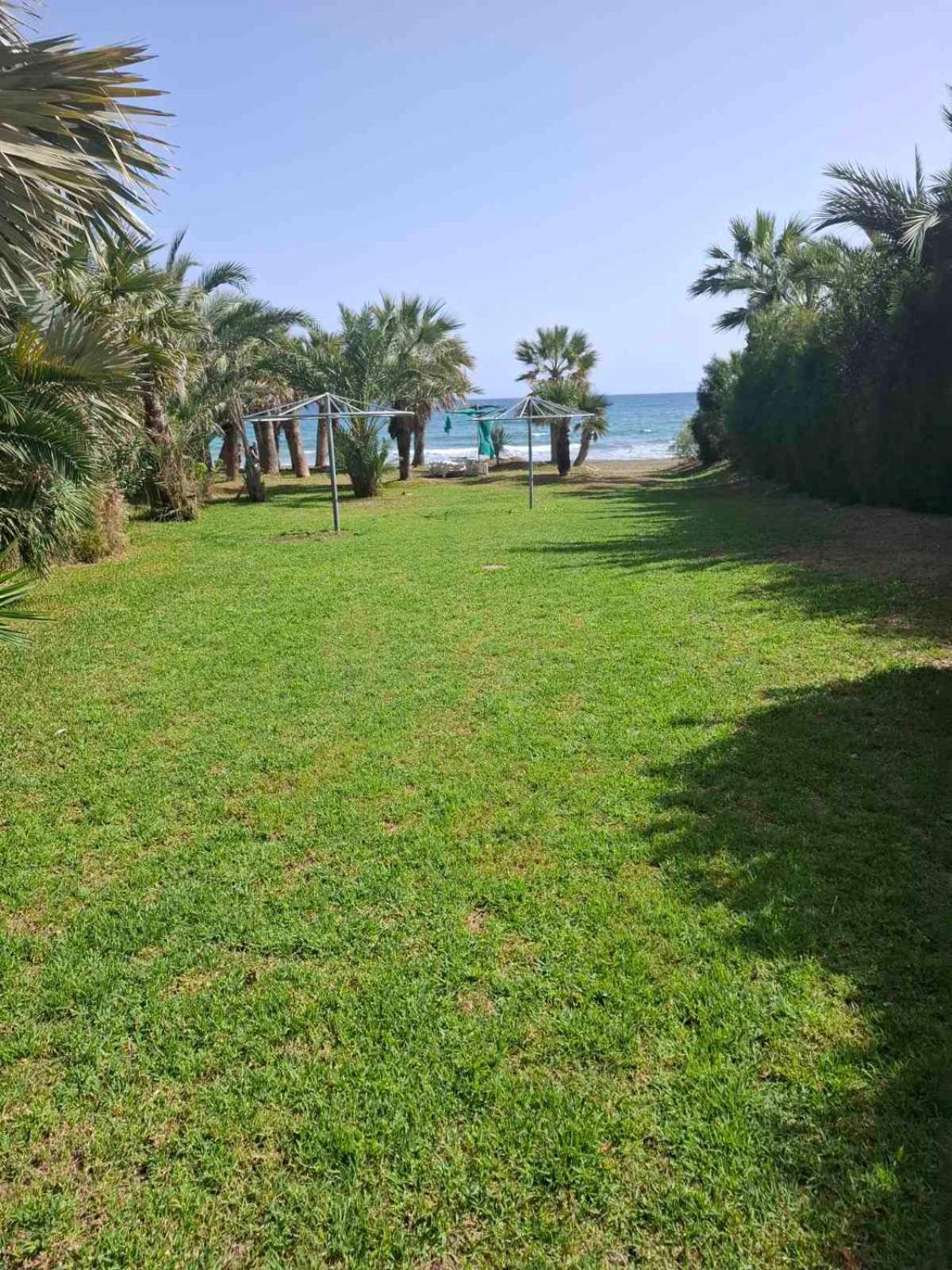 Seaside Escape * Larnaca