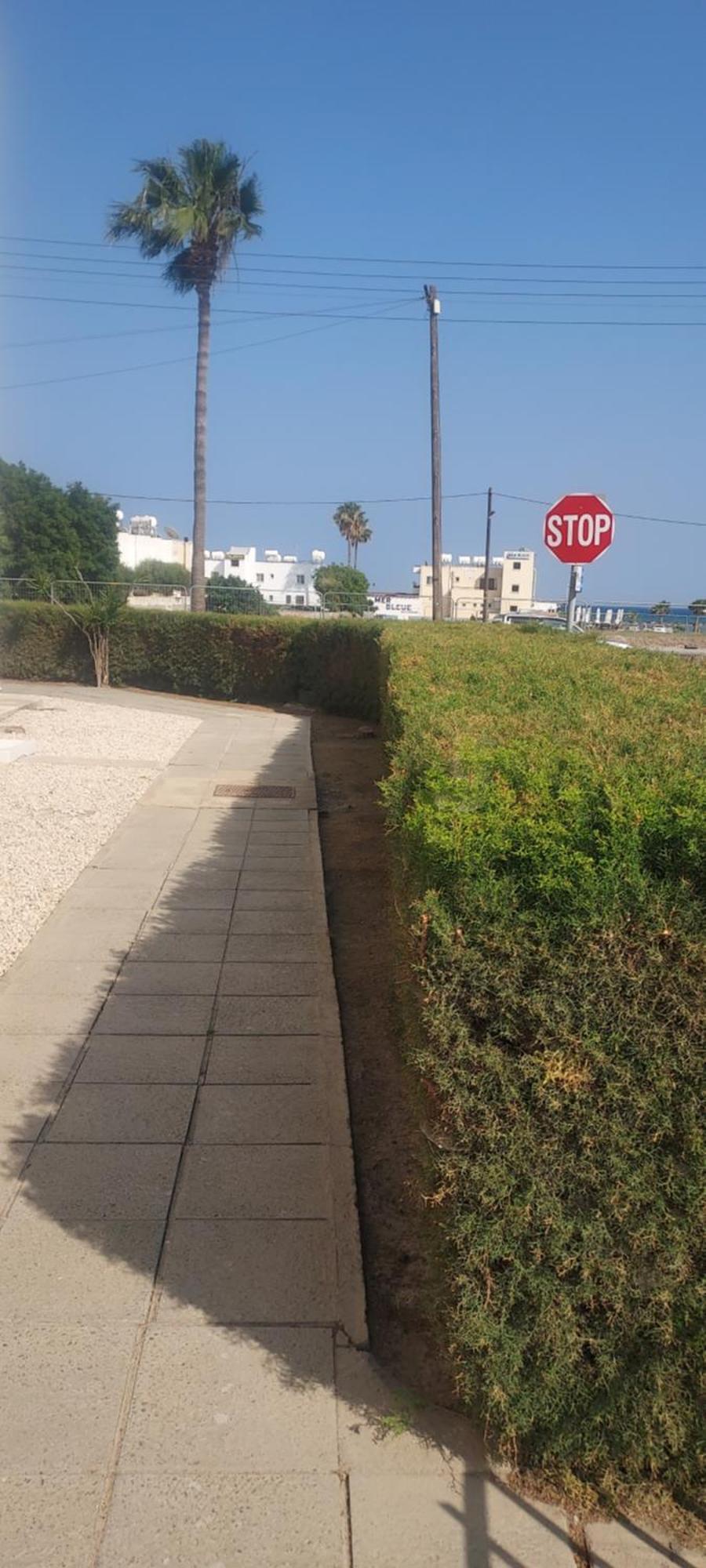 Căn hộ Magic Sea Larnaca