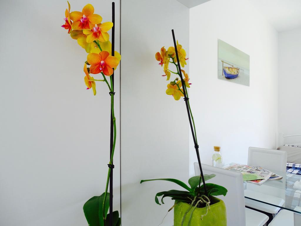 Apartment Harmony
