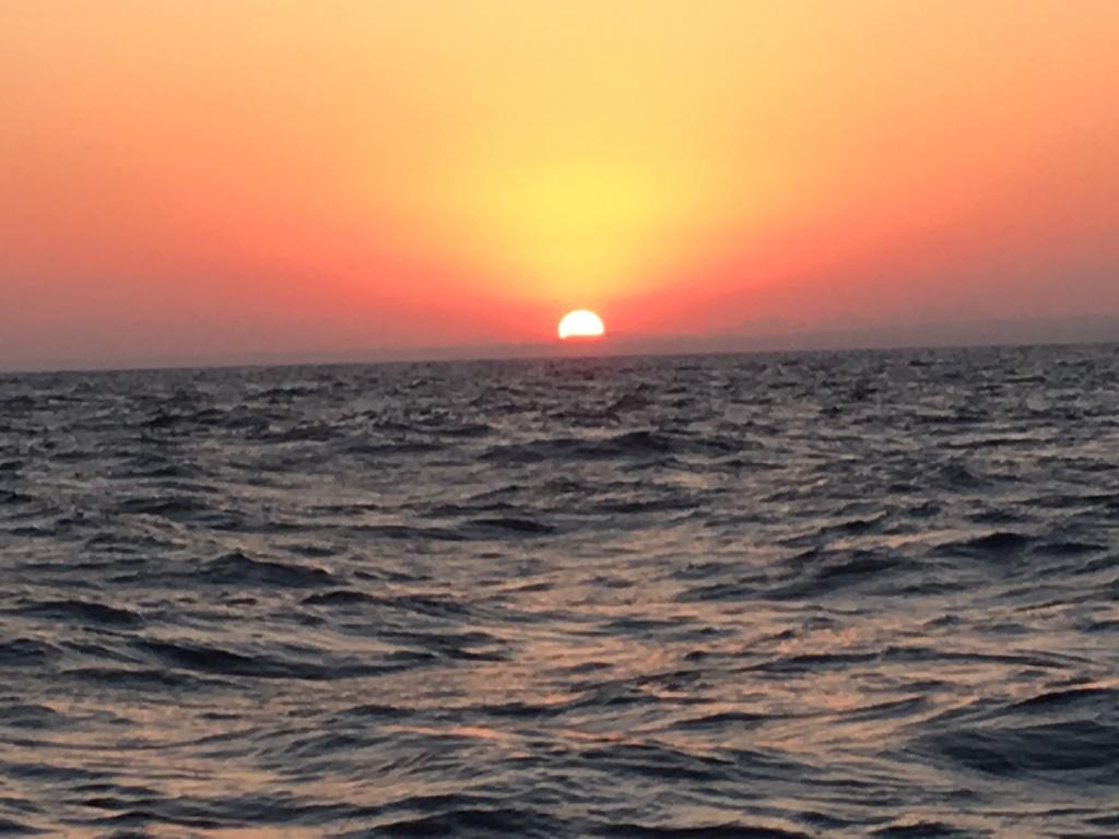 Zenobia Beach Larnaca