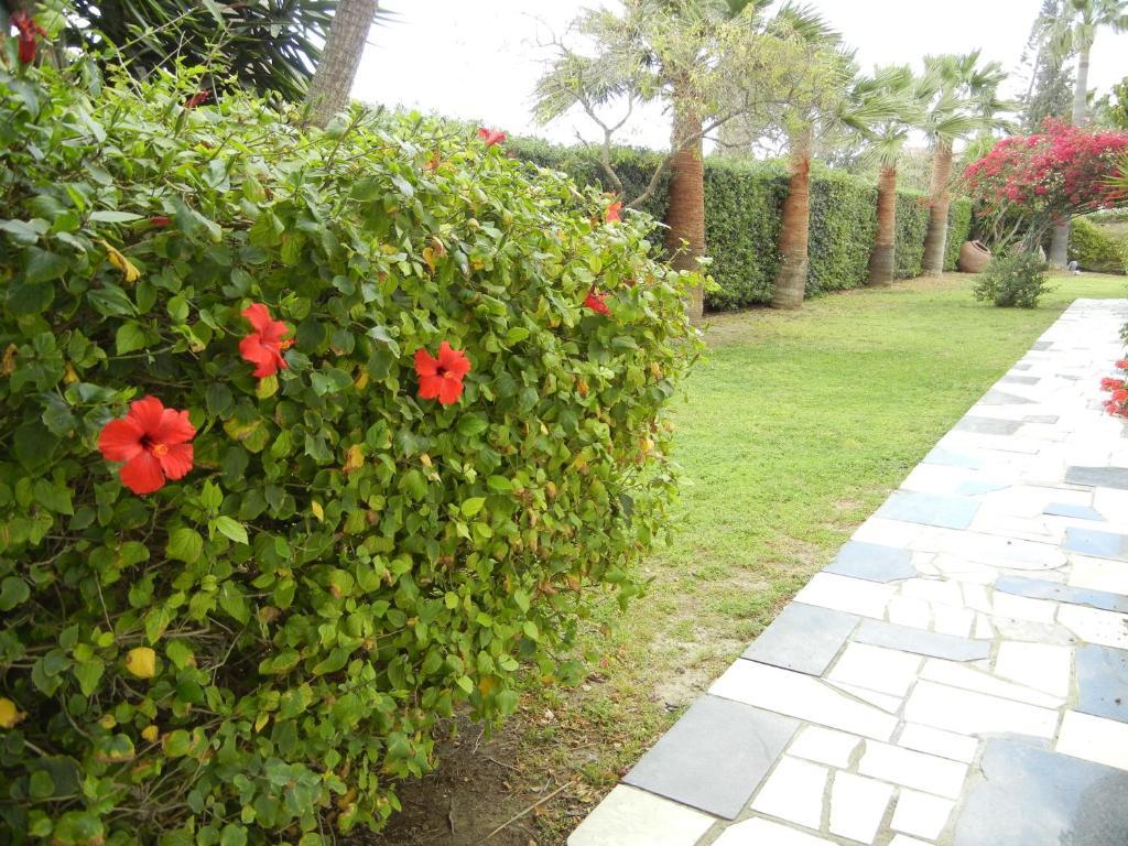 Tsialis 2* Larnaka