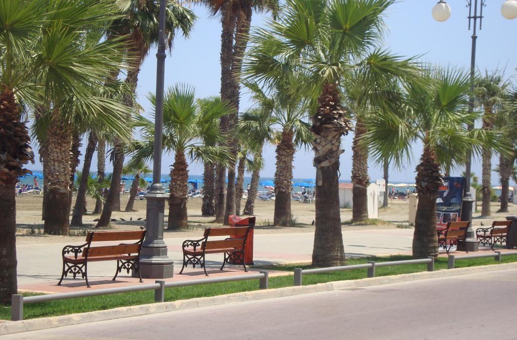 Dioskourion Foinikoudes *