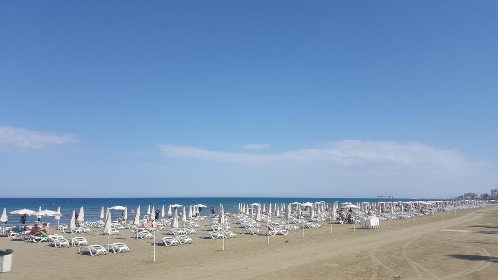 Ithaki Phinikoudes No. 102 * Larnaca