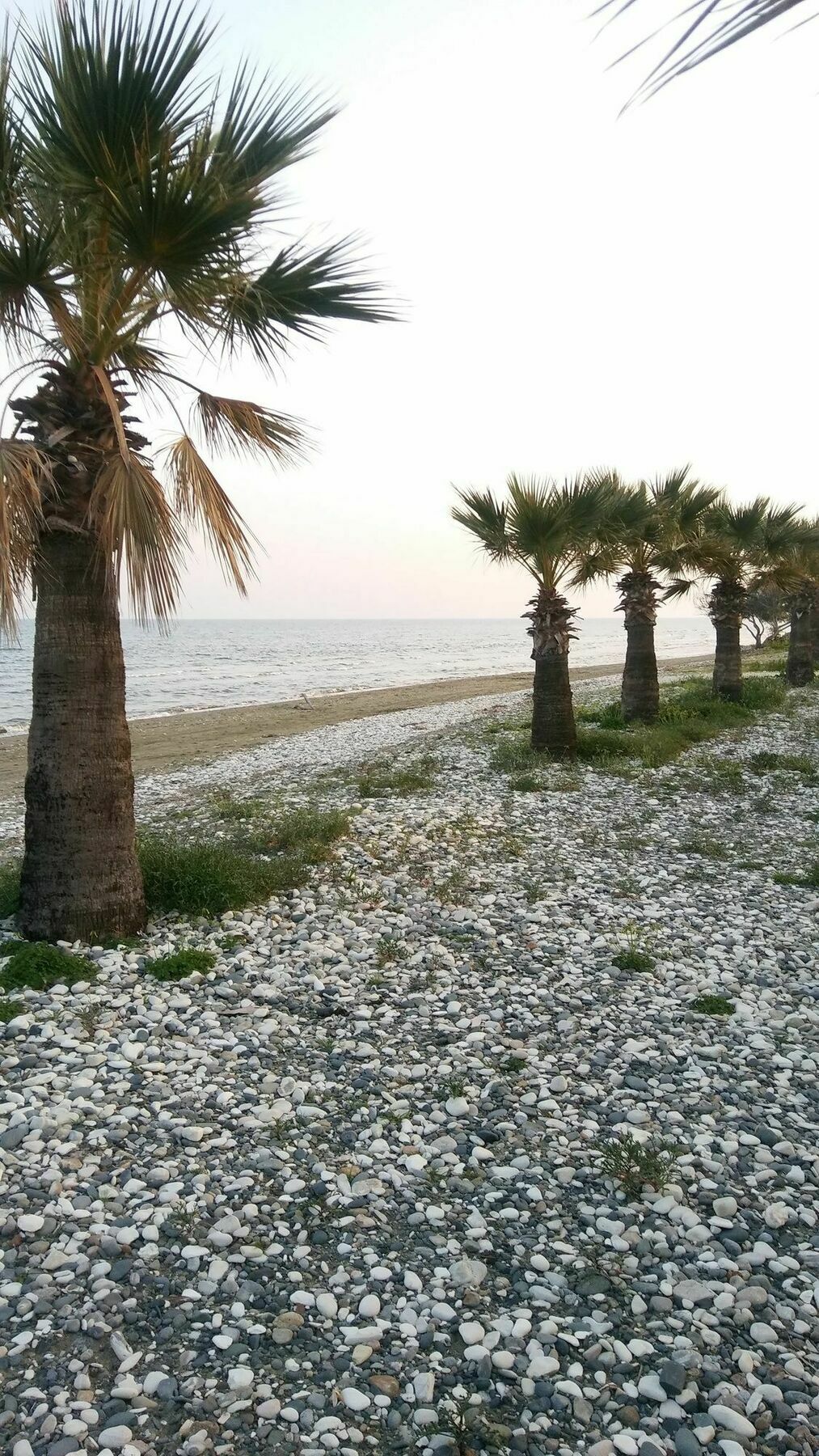Il Mare House Apartment Larnaca