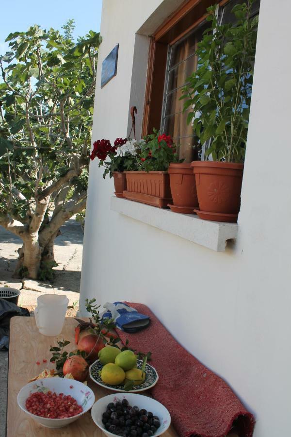 Ithaca Casa de férias Lárnaca