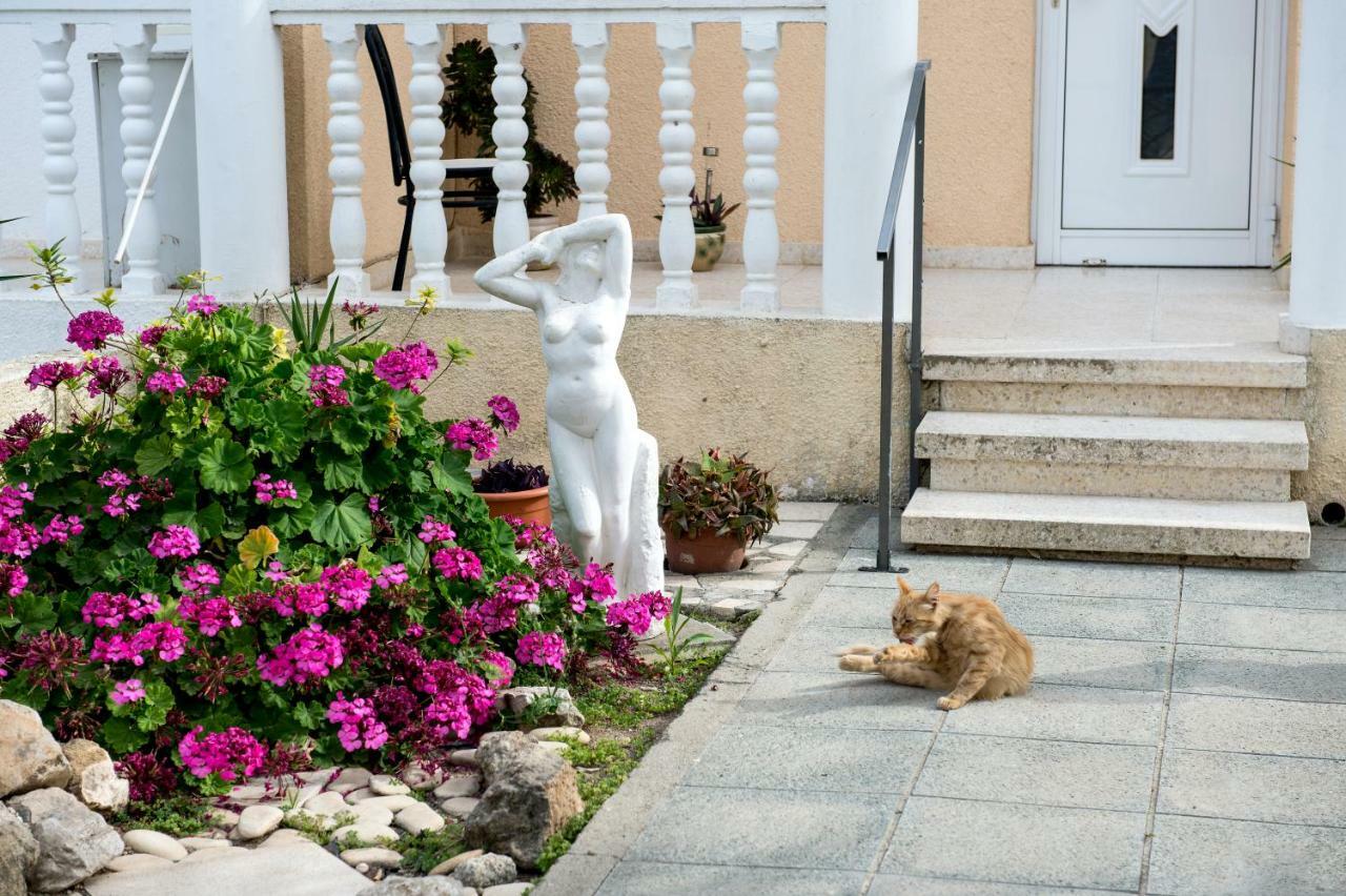 Sunset Valley House Guest house Larnaca