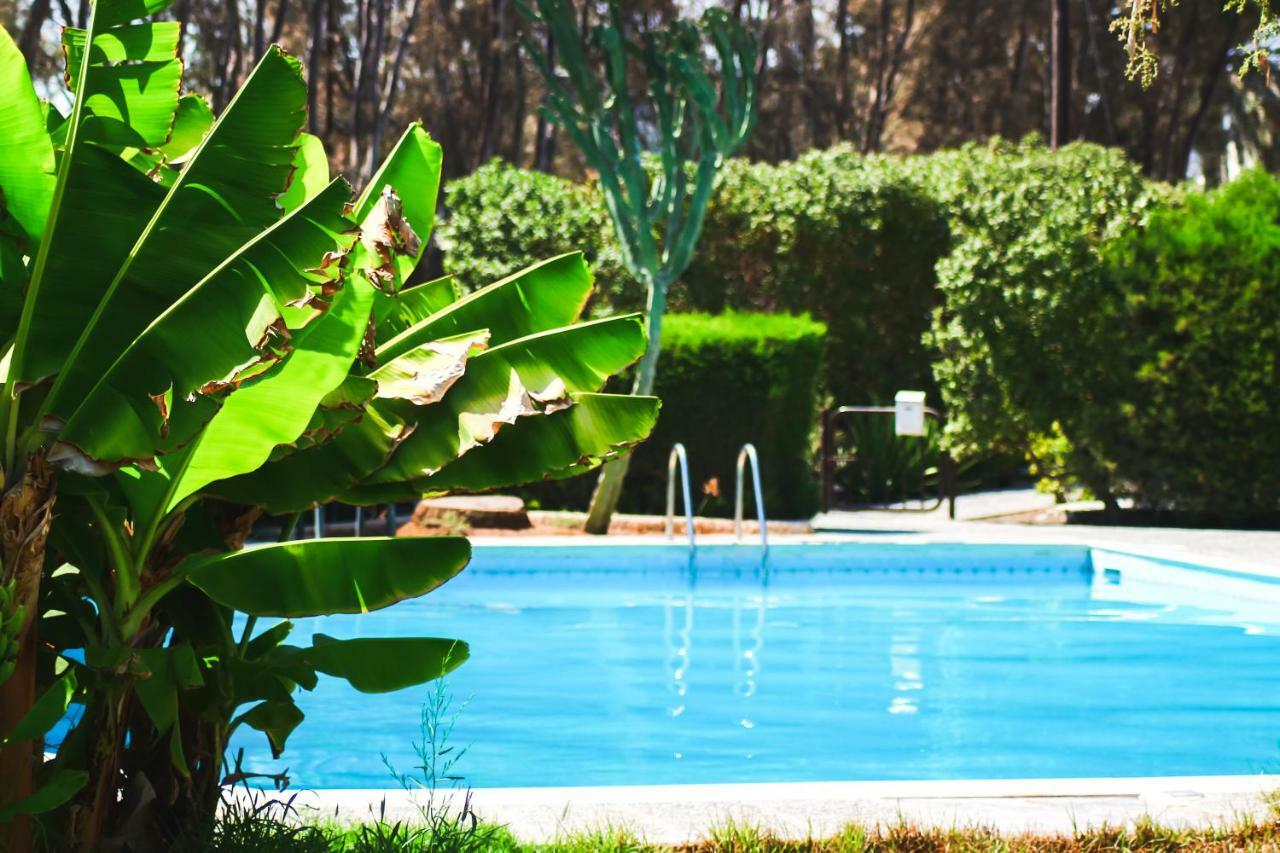 Guest house Moon-light Studio Larnaca