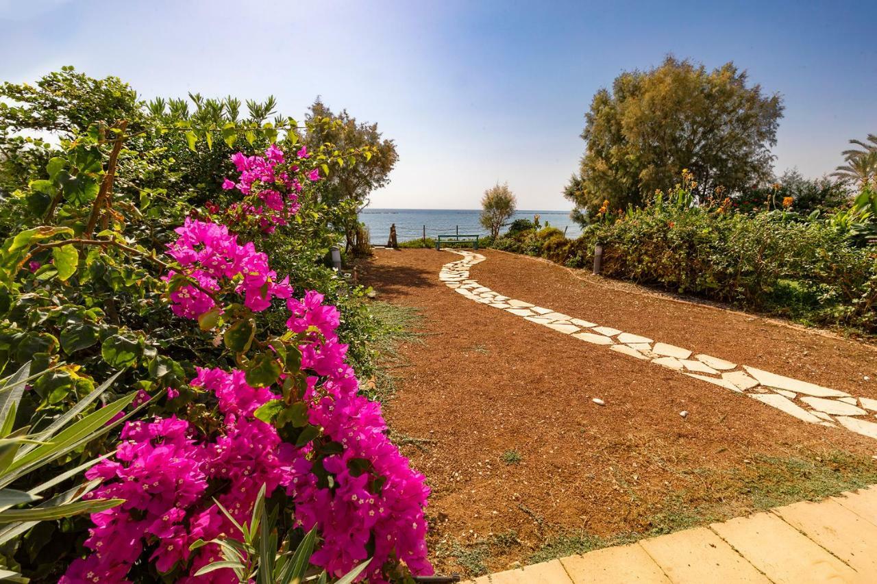Mariliz * Larnaca