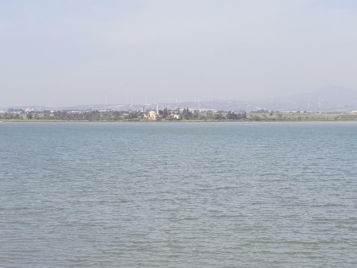 Haig's Dream Flat On The Larnaca