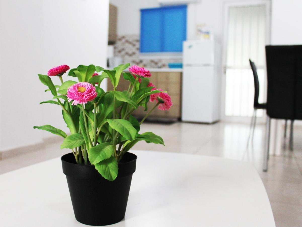 Duplex Comfort Căn hộ