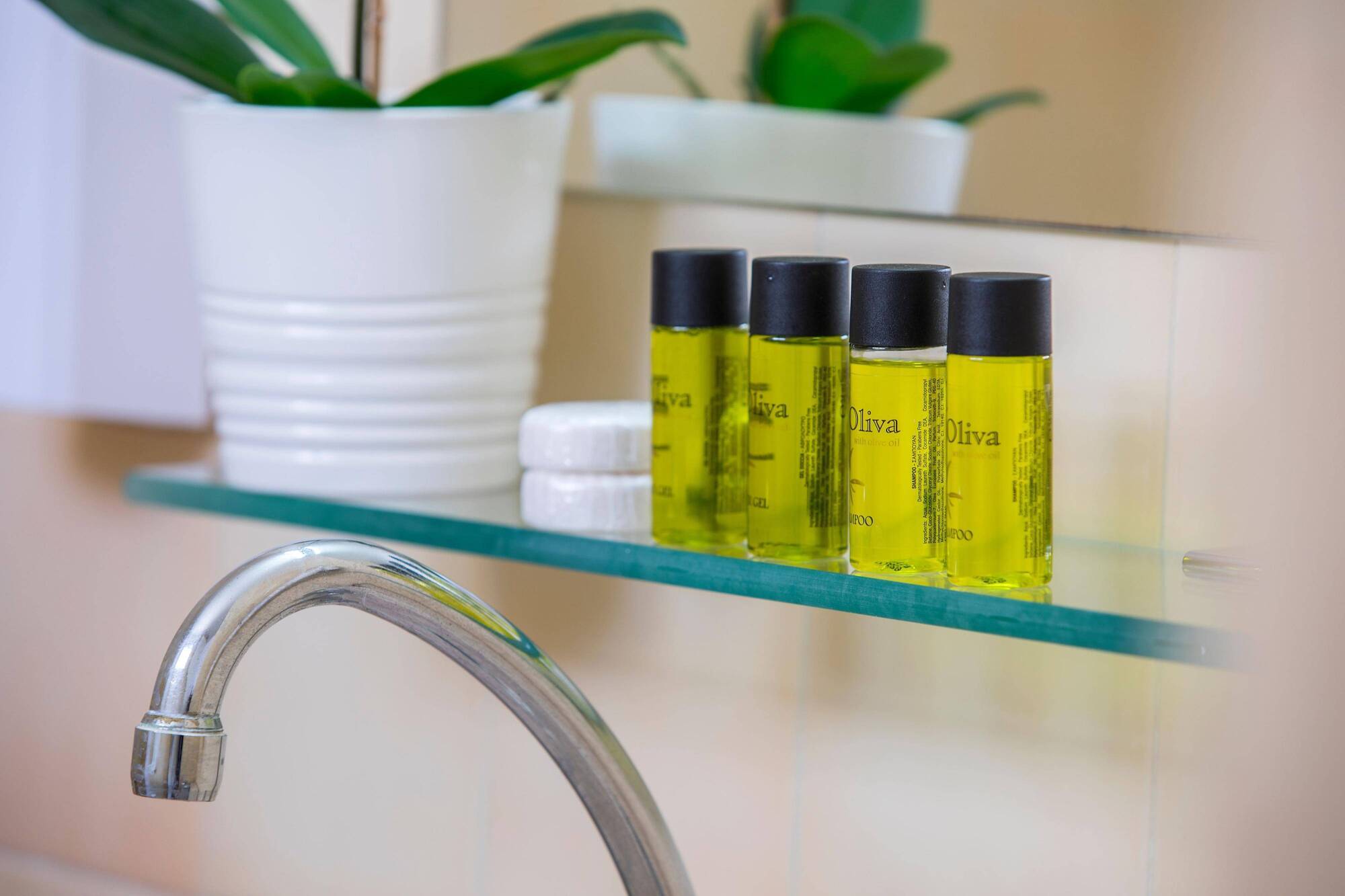 Khách sạn hẻo lánh Costantiana