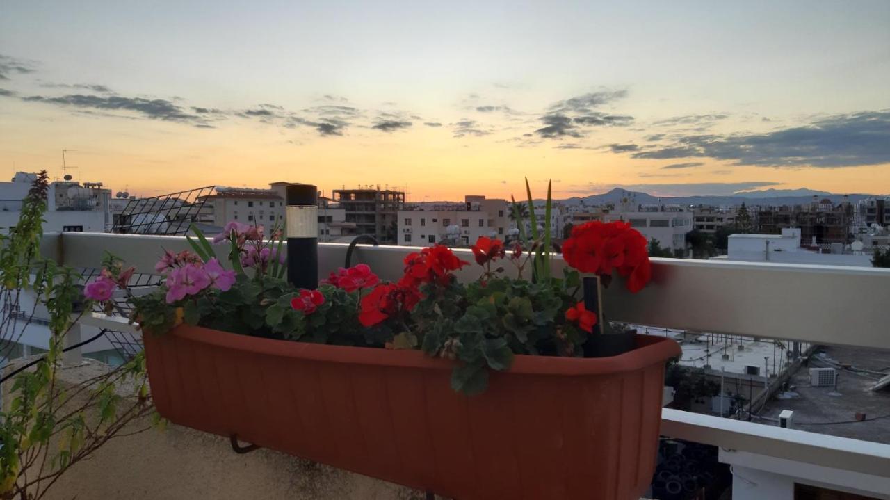 Alkaeos & Larnaca