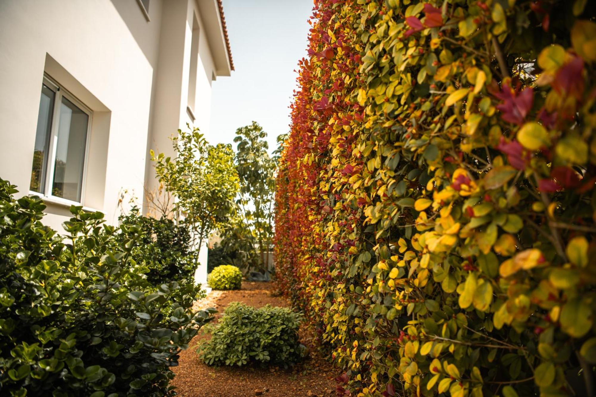 Villa Saturn Larnaca