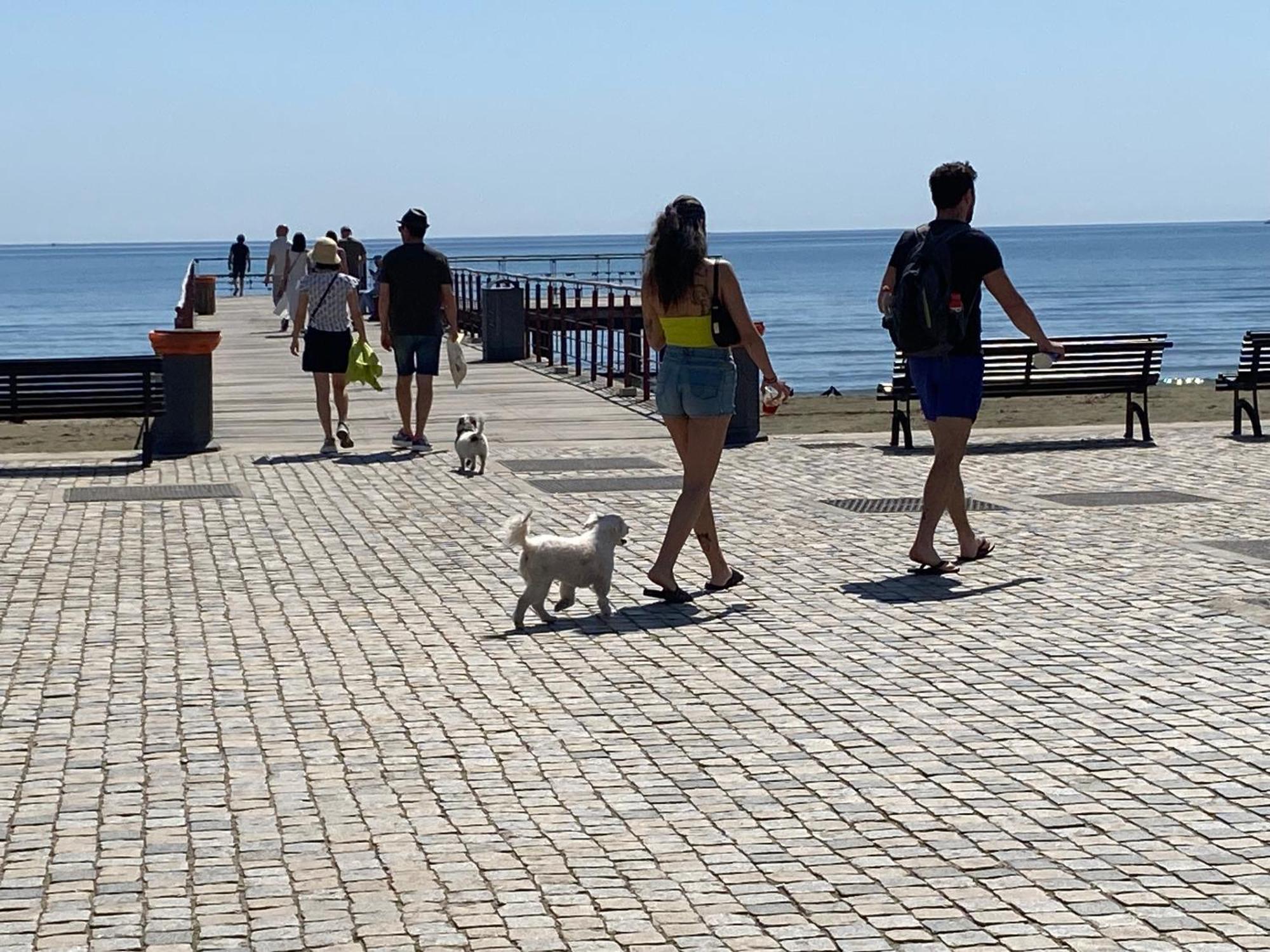 Mackenzie By The Sea Apartment Larnaca