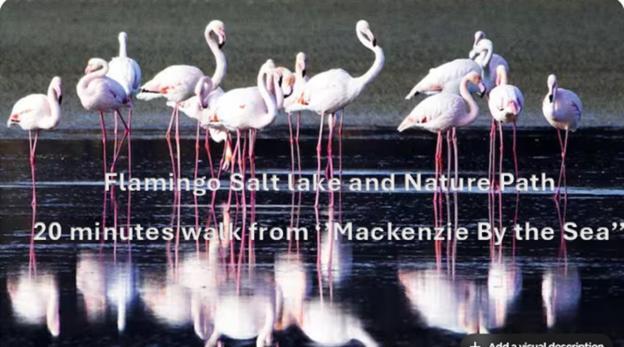 Mackenzie By The Sea * Larnaca